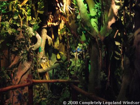 The Rainforest section of the Explorers' Institute