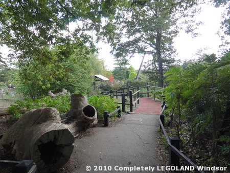 Enchanted Forest